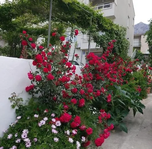 Jacky / Sea View * ماكارسكا