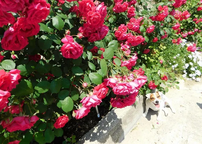 شقة Jacky / Sea View *